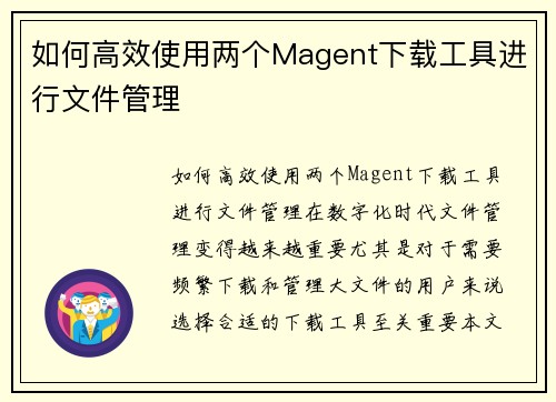 如何高效使用两个Magent下载工具进行文件管理